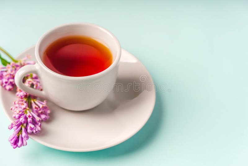 Beau fond minimaliste avec composition florale et espace copie de tasse de thé sur fond bleu clair photographie stock libre de droits