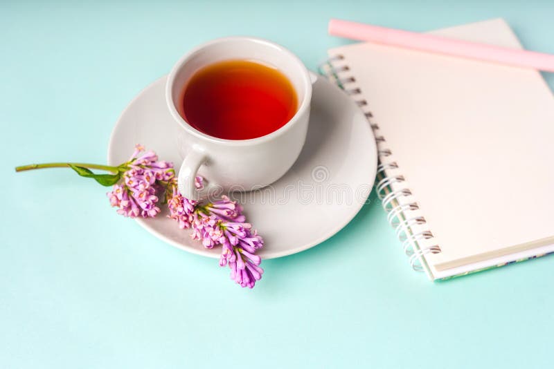 Beau fond minimaliste avec composition florale et espace copie de tasse de thé sur fond bleu clair photographie stock