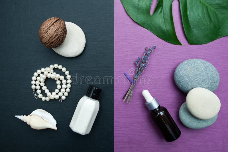 Beau fond à deux tons avec des cosmétiques et les ingrédients naturels, sérum et crème, perles de lavande et conque, photo stock Beau fond à deux tons avec des cosmétiques et les ingrédients naturels, sérum et crème, perles de lavande et conque, photo stock
