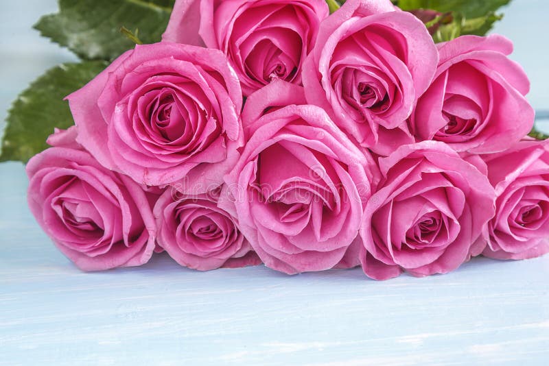 Beau grand groupe de fleurs roses roses photo stock Beau grand groupe de fleurs roses roses photo stock