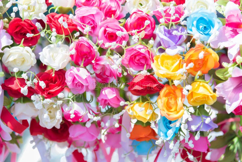 Beau groupe de fleurs Fleurs colorées pour épouser et escroquerie photos stock Beau groupe de fleurs Fleurs colorées pour épouser et escroquerie photos stock