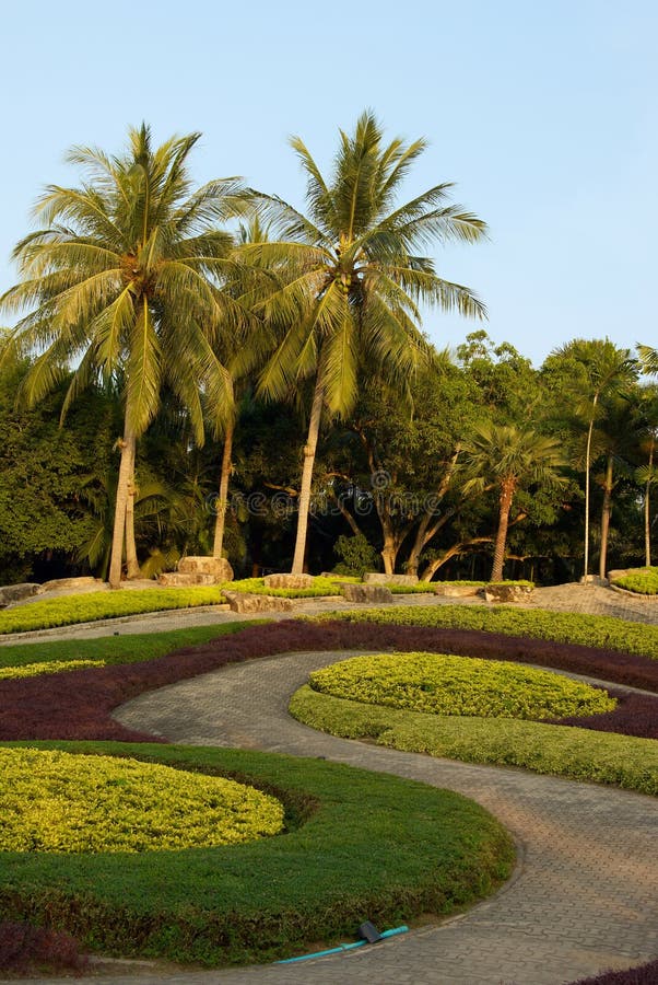 Beau Jardin Tropical  Normal Image  stock Image  du 