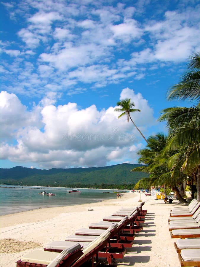 Beau jour dans une ressource tropicale photographie stock Beau jour dans une ressource tropicale photographie stock