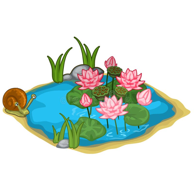 Beau lac de vecteur avec l'escargot, les roseaux et les lis illustration de vecteur Beau lac de vecteur avec l'escargot, les roseaux et les lis illustration de vecteur