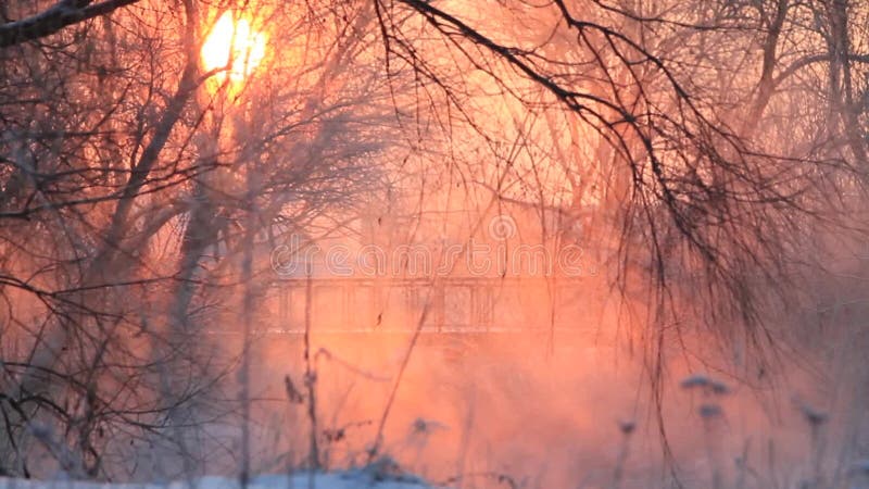 Beau lever de soleil d'hiver au-dessus de la rivière avec un brouillard banque de vidéos