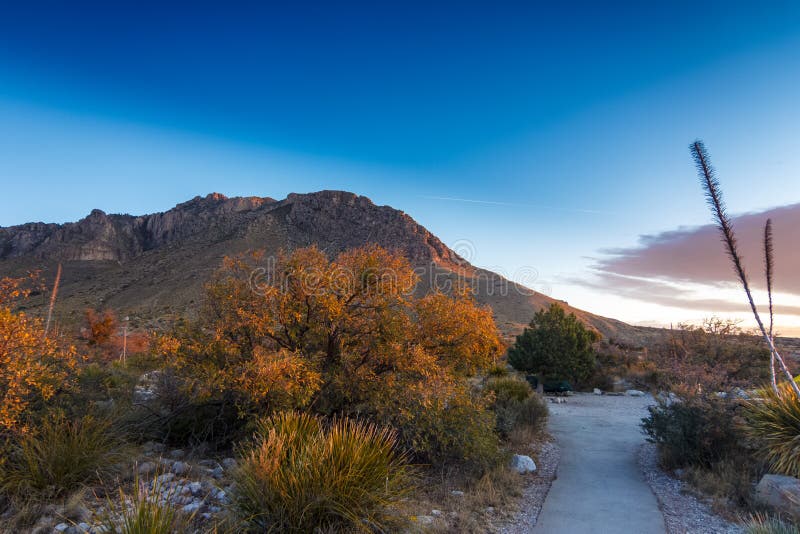 Beau matin dans Guadalupe Mountains National Park photographie stock Beau matin dans Guadalupe Mountains National Park photographie stock