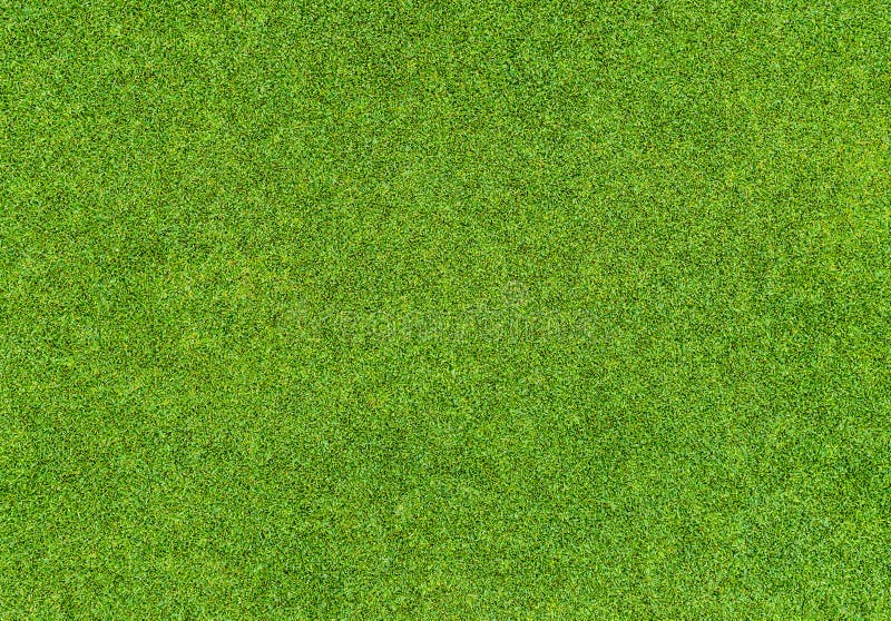 Beau modèle d'herbe verte de terrain de golf photo libre de droits Beau modèle d'herbe verte de terrain de golf photo libre de droits