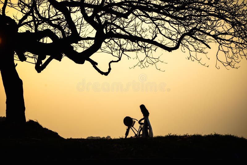 Beau paysage avec la silhouette d'arbres au coucher du soleil avec la femme vietnamienne portant la robe traditionnelle ao Dai se image stock Beau paysage avec la silhouette d'arbres au coucher du soleil avec la femme vietnamienne portant la robe traditionnelle ao Dai se image stock