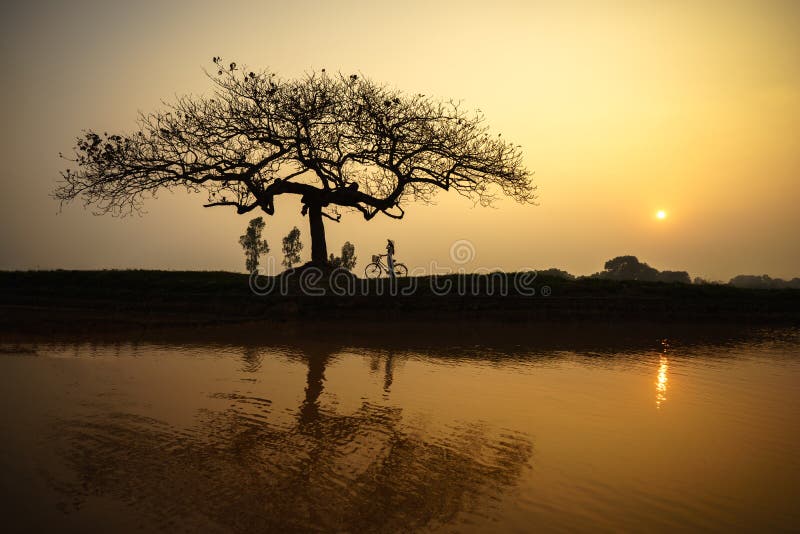 Beau paysage avec la silhouette d'arbres et réflexion au coucher du soleil avec la femme vietnamienne portant la position traditi photos libres de droits Beau paysage avec la silhouette d'arbres et réflexion au coucher du soleil avec la femme vietnamienne portant la position traditi photos libres de droits