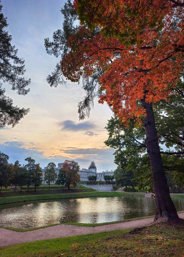 Beau paysage d'automne du parc avec un étang et un grand palais de gatchina. russie. vue verticale images stock