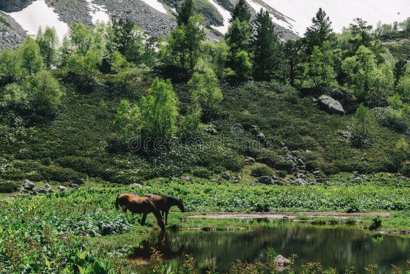 Beau paysage de montagnes de Caucase de nature photo libre de droits Beau paysage de montagnes de Caucase de nature photo libre de droits