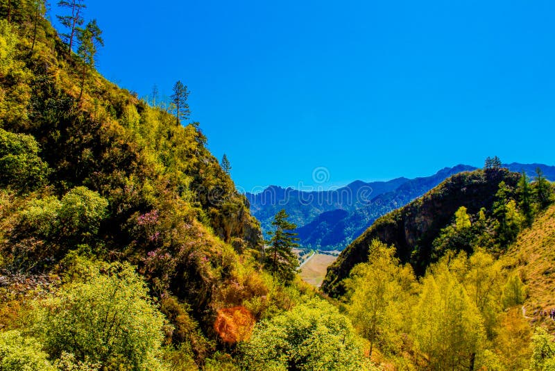 Beau paysage de nature, augmentant l'activité La forêt majestueuse de montagne en nuages aménagent en parc Vue verte de gamme de image stock Beau paysage de nature, augmentant l'activité La forêt majestueuse de montagne en nuages aménagent en parc Vue verte de gamme de image stock