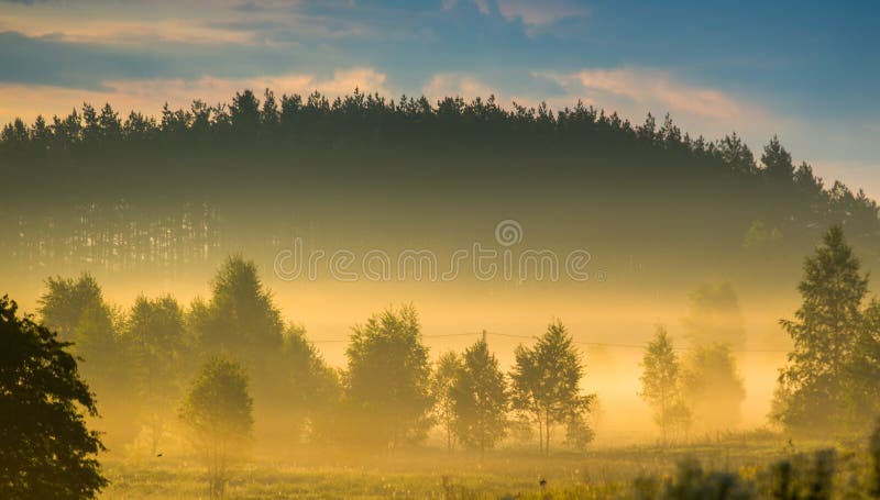 Beau paysage de nature avec la brume orange images libres de droits Beau paysage de nature avec la brume orange images libres de droits