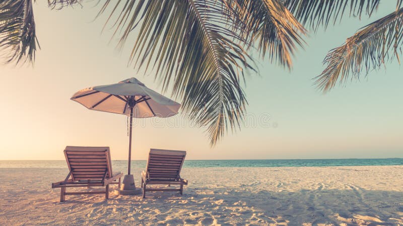 Beau paysage de plage de vintage Scène tropicale de nature Palmiers et ciel bleu Vacances d'été et concept de vacances photo stock Beau paysage de plage de vintage Scène tropicale de nature Palmiers et ciel bleu Vacances d'été et concept de vacances photo stock