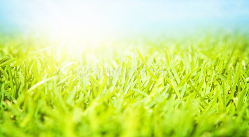 Paysage de printemps photos stock Paysage de printemps photos stock