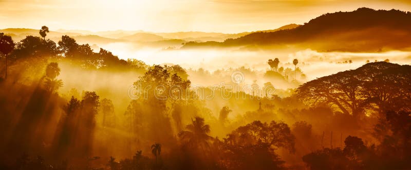 Beau paysage des montagnes et de la forêt tropicale dans des rayons du soleil de début de la matinée et du brouillard dans Myanma photos libres de droits Beau paysage des montagnes et de la forêt tropicale dans des rayons du soleil de début de la matinée et du brouillard dans Myanma photos libres de droits