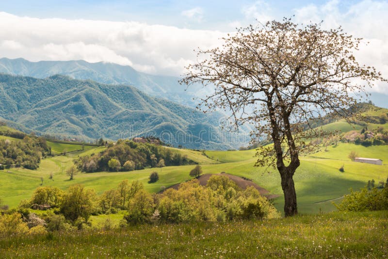 Beau paysage italien de campagne au-dessus de Rolling Hills et de B