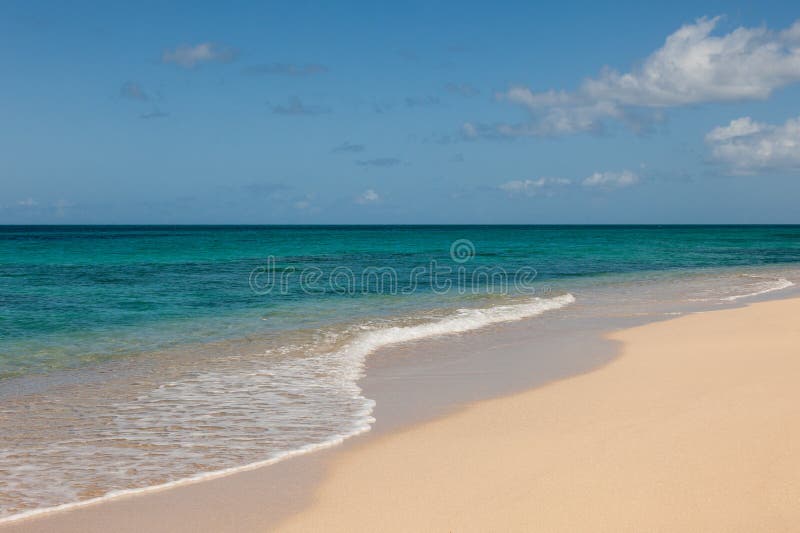 Beau paysage marin tropical de plage et d'océan de Sandy
