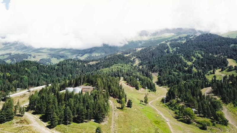 Beau paysage vert de montagne avec des arbres Vue supérieure de la zone montagneuse couverte de forêts