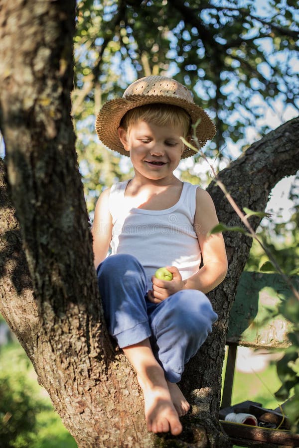 Beau petit garçon s'asseyant sur un arbre et tenant la pomme image stock Beau petit garçon s'asseyant sur un arbre et tenant la pomme image stock