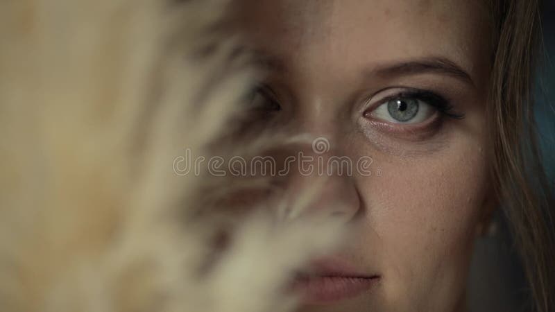 Beau portrait de mariée dans le voile. Gros plan du visage. Jolie femme magnifique. Épouser la préparation du matin banque de vidéos