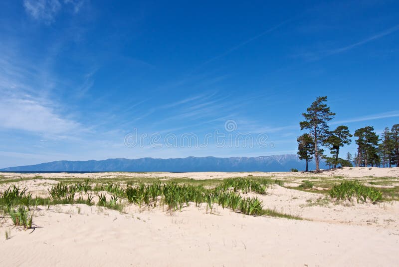 Beau rivage arénacé blanc du lac Baïkal photographie stock Beau rivage arénacé blanc du lac Baïkal photographie stock