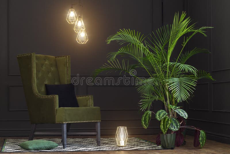 Beau salon noir photographie stock libre de droits Beau salon noir photographie stock libre de droits