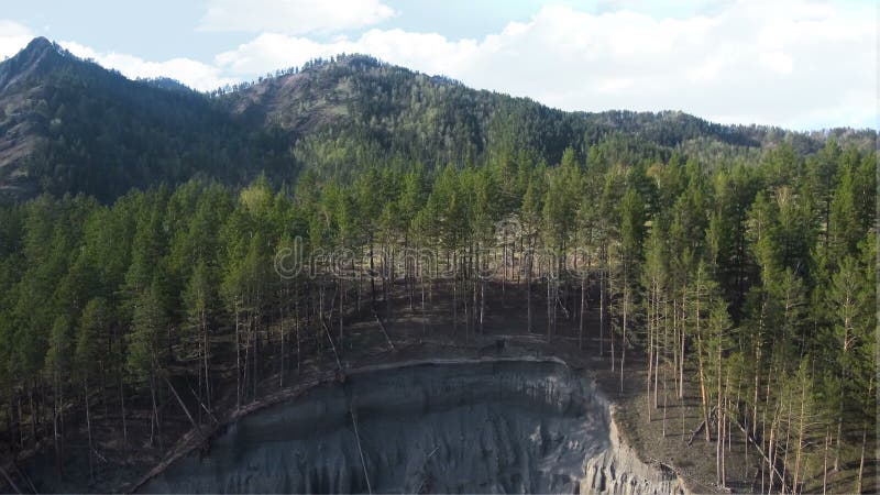 Beau, sc? nique panorama de paysage des arbres pr? s de la falaise clips vidéos