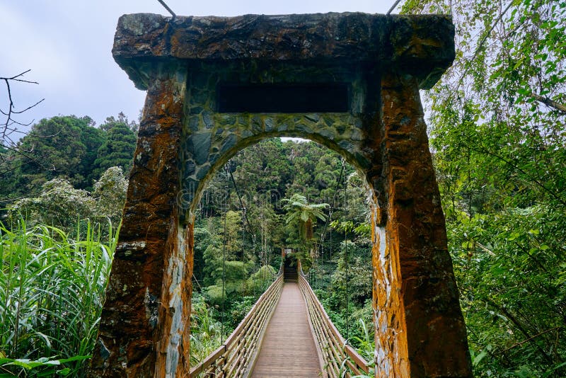 Beau scenics du pont suspendu de Cuihong dans la région d'éducation de nature de Xitou photo stock Beau scenics du pont suspendu de Cuihong dans la région d'éducation de nature de Xitou photo stock
