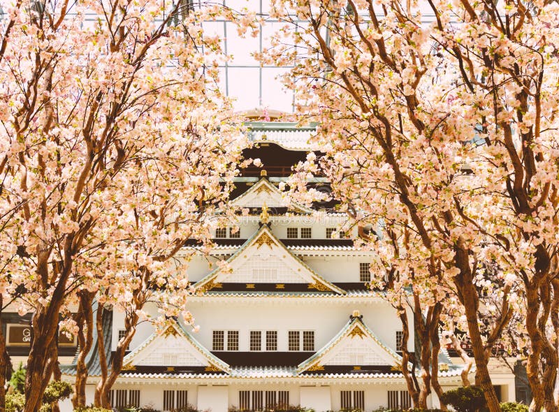 Beau tir d'un temple en Asie avec les arbres roses de Sakura des deux côtés photos stock Beau tir d'un temple en Asie avec les arbres roses de Sakura des deux côtés photos stock
