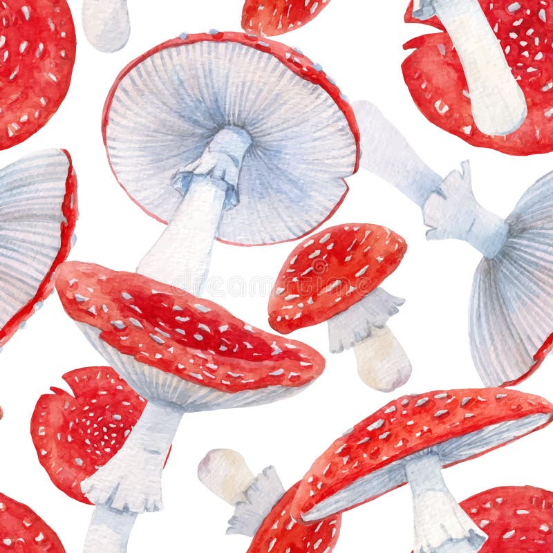 Beau vecteur motif transparent avec aquarelle dessinée à la main forêt amanita champignon. illustration du stock. images libres de droits