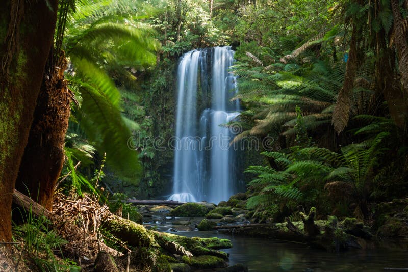 Beauchamp Falls royalty free stock images Beauchamp Falls royalty free stock images