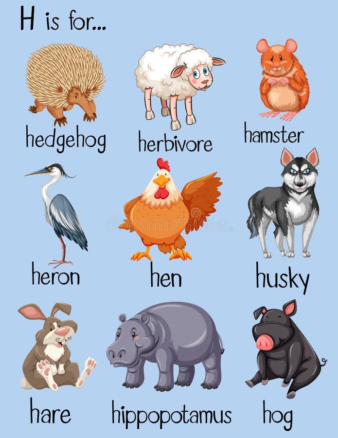 Beaucoup De Mots Commencent Par La Lettre H Illustration De Vecteur Illustration Du Agrafe Ecriture 72047760