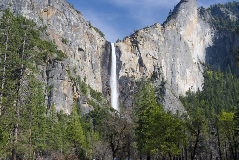 48 444 Bridal Veil Photos Free Royalty Free Stock Photos From Dreamstime