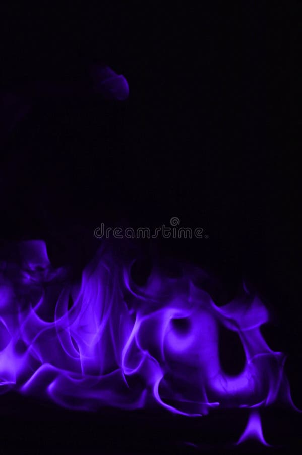 Beautifu purple fire flames on a black background.