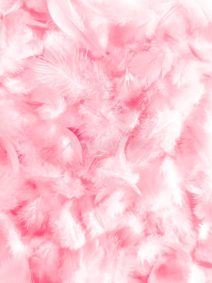 Premium Photo  Pink feathers on a white background