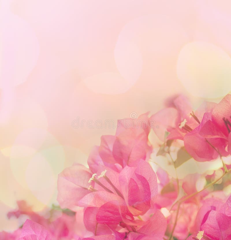 Beautiful abstract floral background