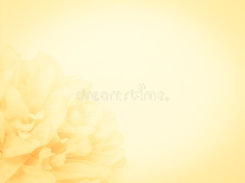 golden yellow floral background