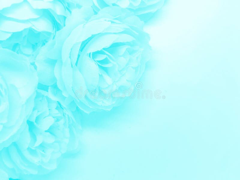 Beautiful Abstract Light Blue Flowers on White Background, White Flower  Frame, Blue Leaves Texture, Gray Background, Valentines D Stock Image -  Image of blossom, happy: 217025237