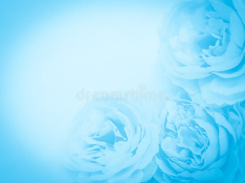 Beautiful Abstract Light Blue Flowers on White Background, White Flower  Frame, Blue Leaves Texture, Gray Background, Valentines D Stock Photo -  Image of card, isolated: 216796250