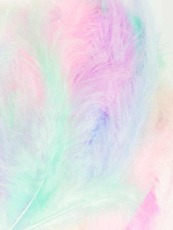 Beautiful Abstract Light Pink Feathers on Colorful Background, Colorful ...