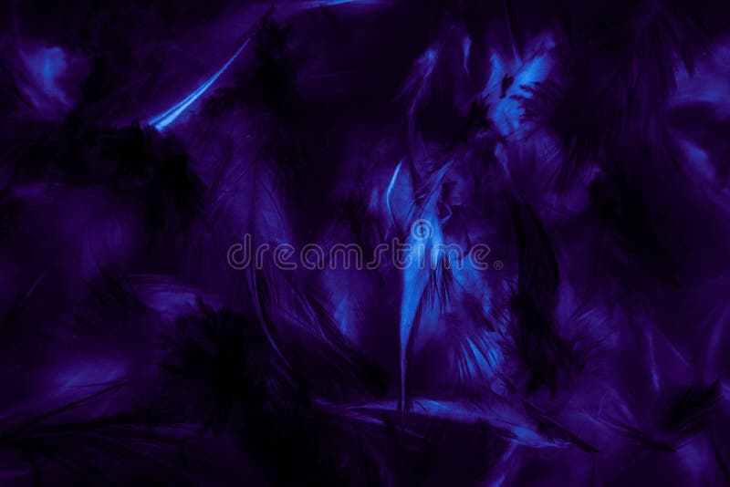 Beautiful Abstract Texture Close Up Color Black Purple and Blue Feathers  Background and Wallpaper Stock Image - Image of color, gray: 155591955