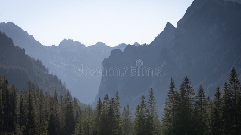 Beautiful alpine valley with forest and sharp stone walls and peaks , Europe, Slovakia