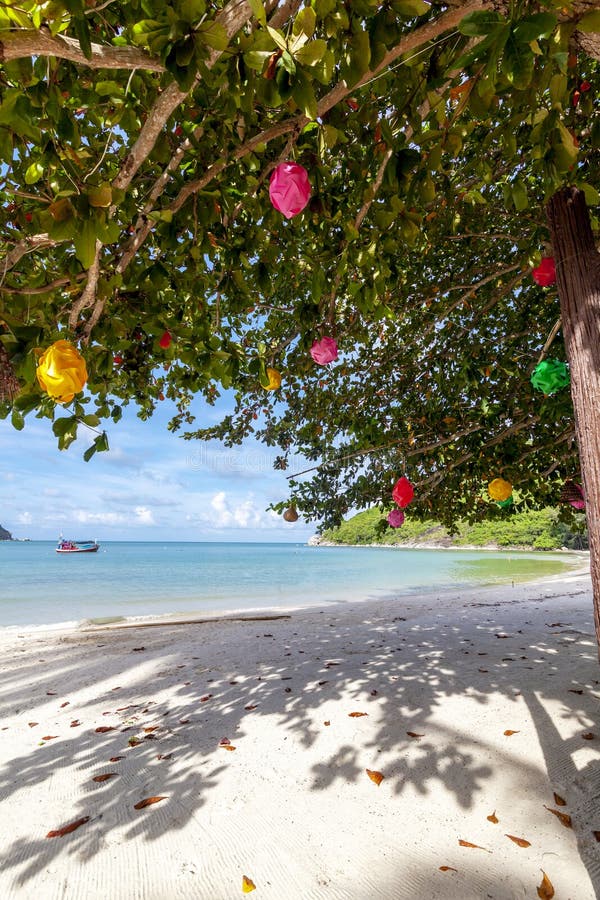 Beautiful amazing incredible tropical beach, white sand, blue sky with clouds and reflection of trees on the sand royalty free stock photo Beautiful amazing incredible tropical beach, white sand, blue sky with clouds and reflection of trees on the sand royalty free stock photo