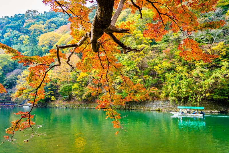 Beautiful Arashiyama River with Maple Leaf Tree and Boat Around Lake ...