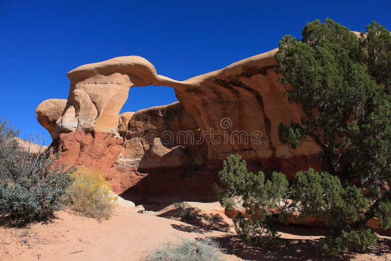 Devils Garden Stock Photos Download 2 437 Royalty Free Photos