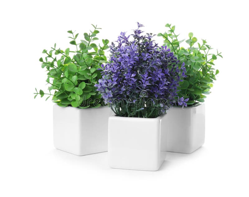 Beautiful Artificial Plants in Flower Pots Isolated Stock Photo Image