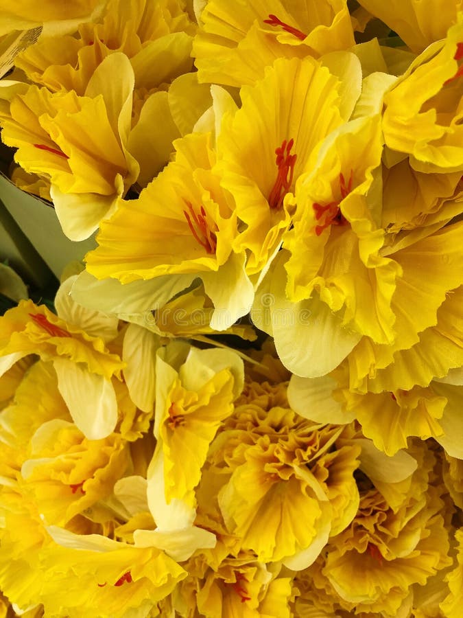 Beautiful Artificial Yellow Flowers in the Shop Stock Photo Image of tenderness, shop 147018234
