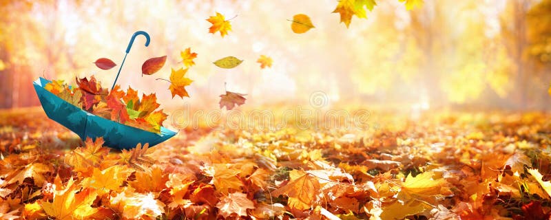 Beautiful autumn background landscape â€” carpet of fallen orange autumn leaves in park and blue umbrella.