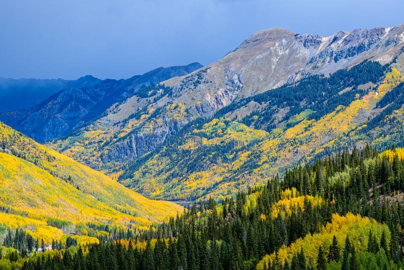 Beautiful Autumn Color in the Colorado Rocky Mountains. Peak Fall